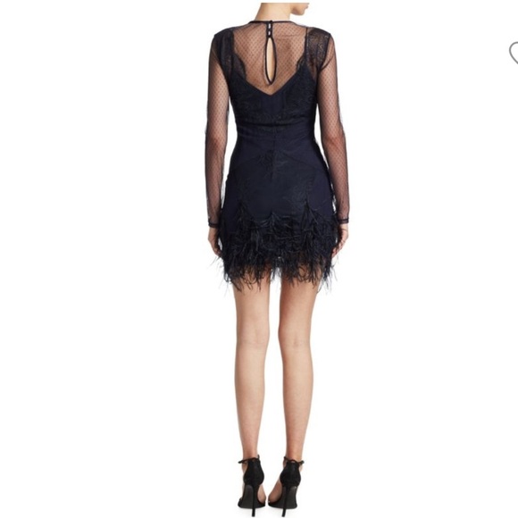 Cinq A Sept Amabella Embroidered Cocktail Dress Ditsy Mesh Feathered Hem size 4 - Picture 3 of 9